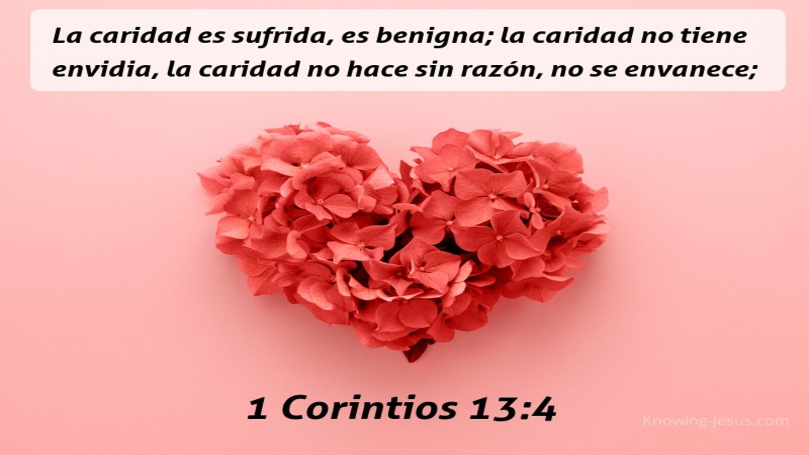 1 Corintios 13:4 Amor (beige)